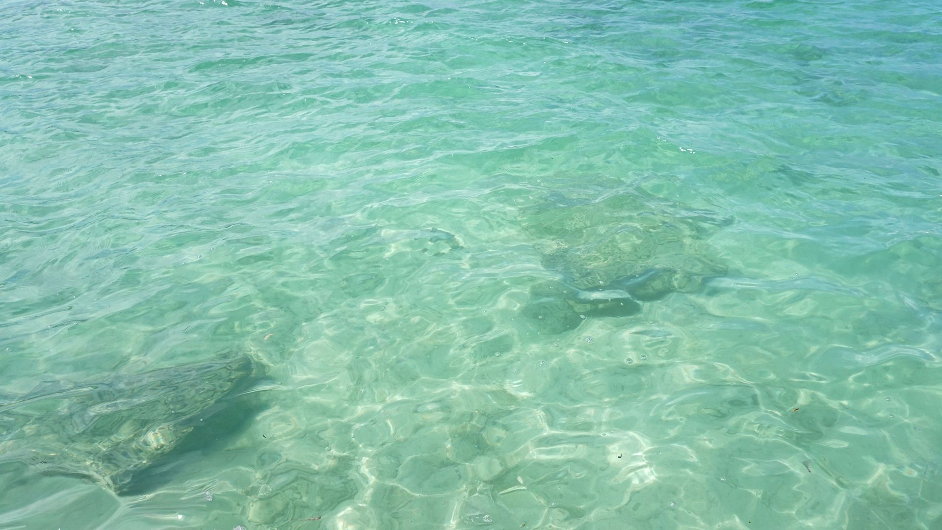 竹富島の海 透き通った水面
