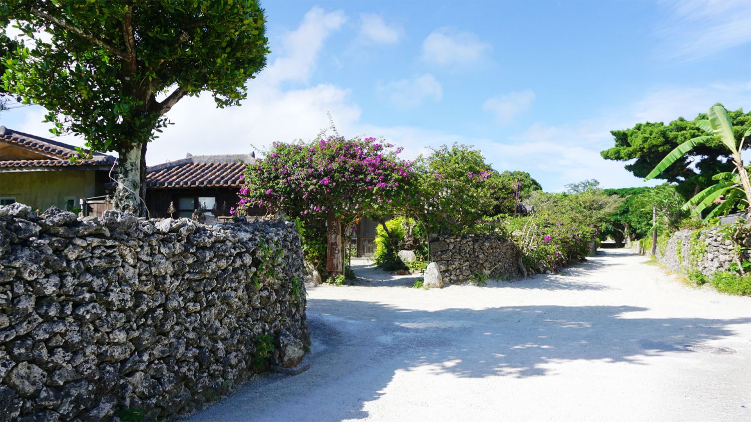 竹富島の風景 白砂の道